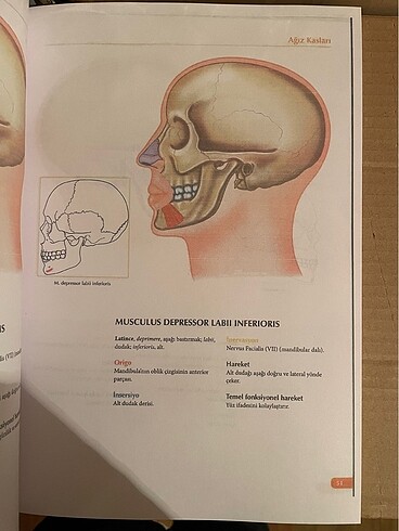 Kaslar Kitabı - Görsel 3