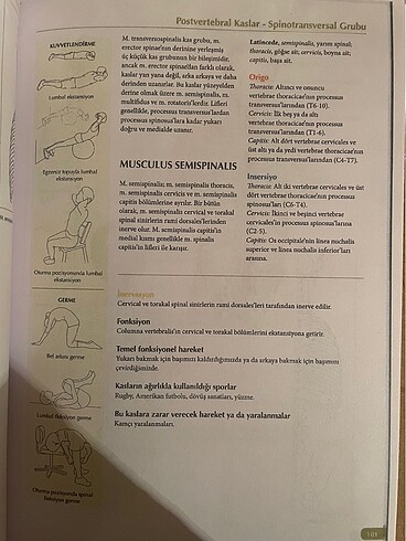 Kaslar Kitabı - Görsel 4