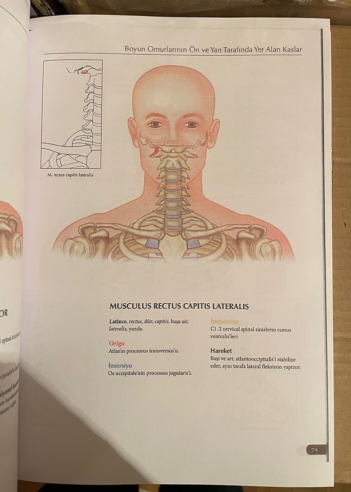 Kaslar Kitabı - Görsel 2