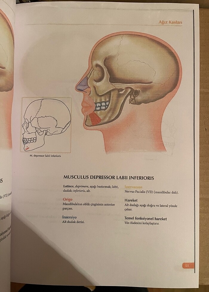 Kaslar Kitabı - Görsel 3
