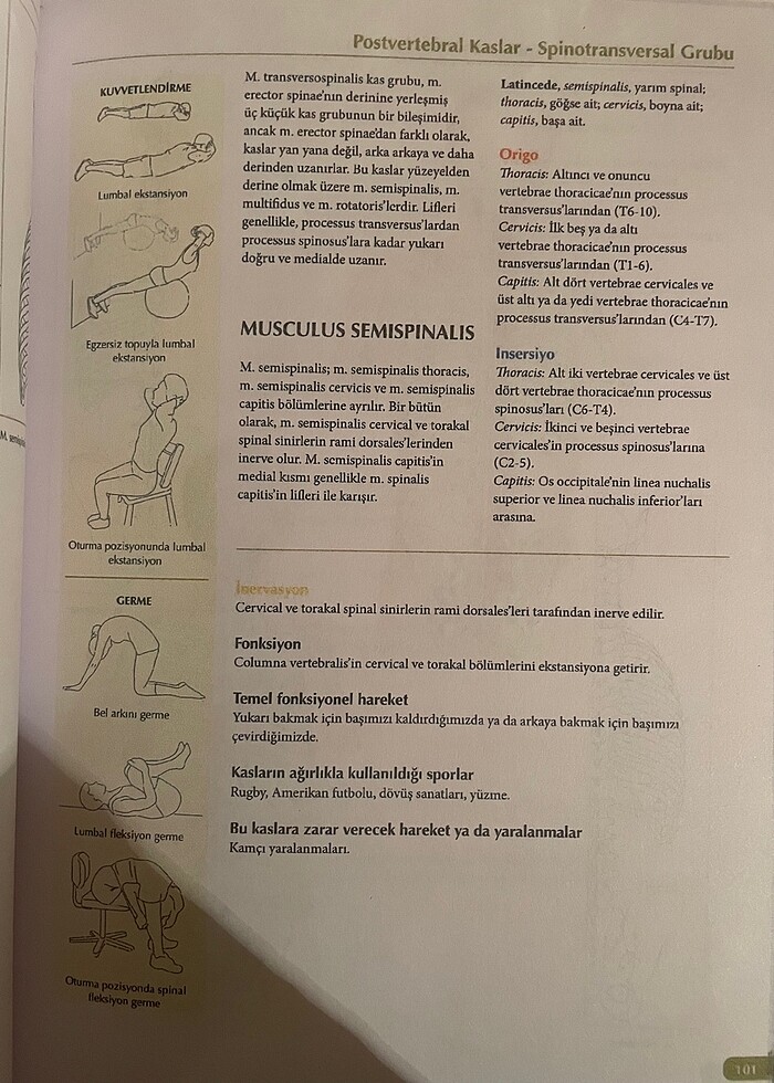 Kaslar Kitabı - Görsel 4