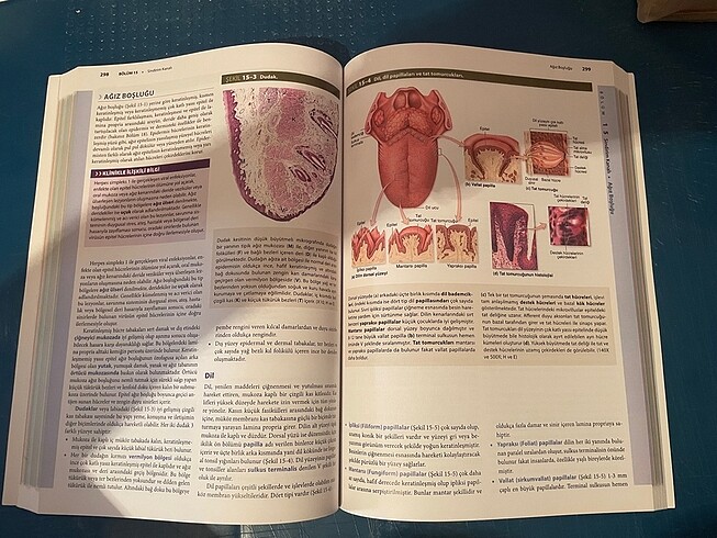 JUNQUEIRA Temel Histoloji 14.Baskı SIFIR - Görsel 3