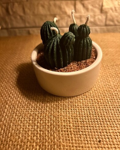 El yapımı mum mini kaktüs