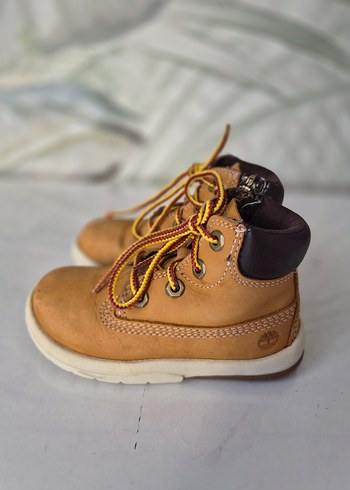 Timberland 24