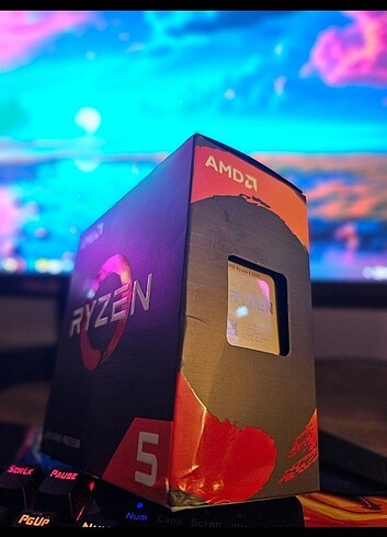 Ryzen 5 5500