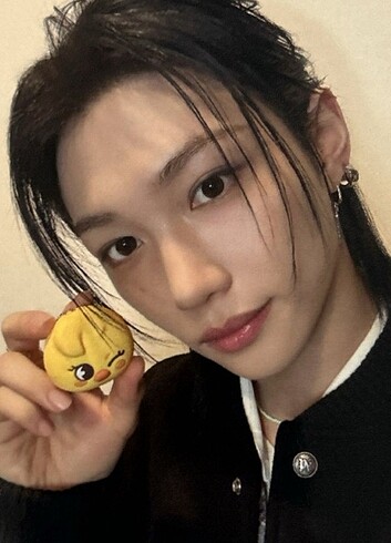 Stray Kids Felix Tamogotchi Pc