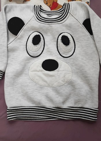 2 Adet Erkek Çocuk Uzun Kollu Sweatshirt - Görsel 3