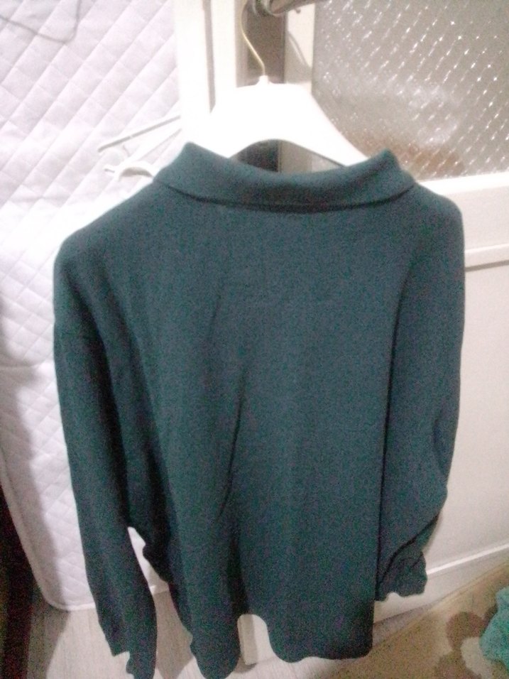 Uzun Kollu Yeşil Polo Tişört - Görsel 3