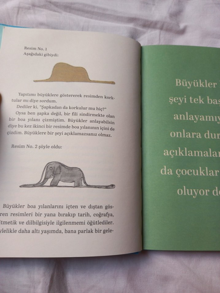 Küçük Prens - Cemal Süreya ve Tomris Uyar Çevirisi - Görsel 2