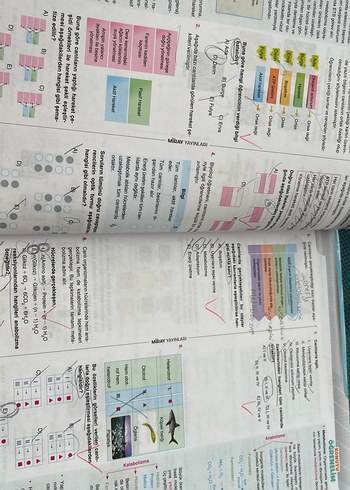 Test kitabı - Görsel 9