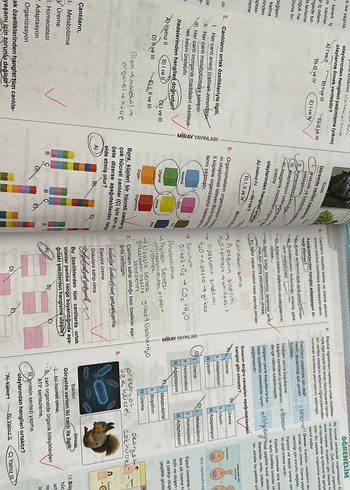 Test kitabı - Görsel 10