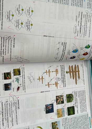 Test kitabı - Görsel 8