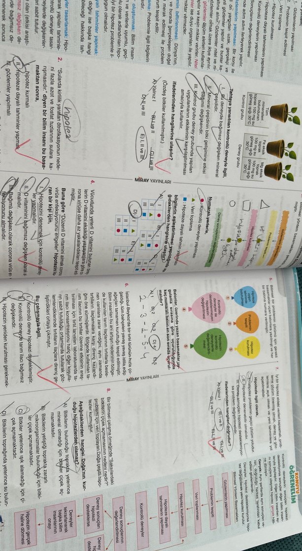 Test kitabı - Görsel 4