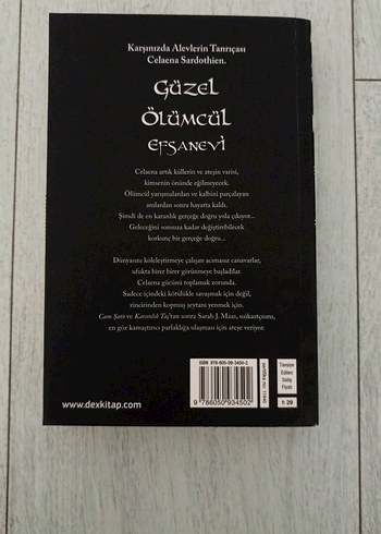 Ateşin Varisi - Sarah J. Maas - Cam şato 3