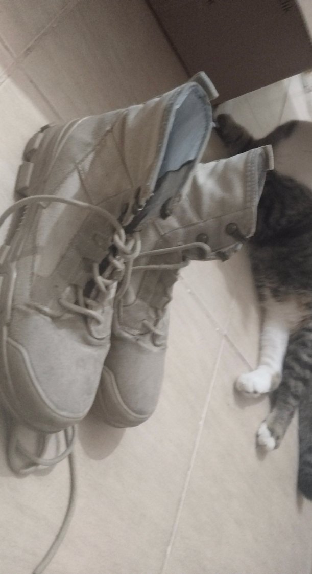 Bej Bağcıklı Kadın Dolgu Topuk Spor Ayakkabı - Görsel 2