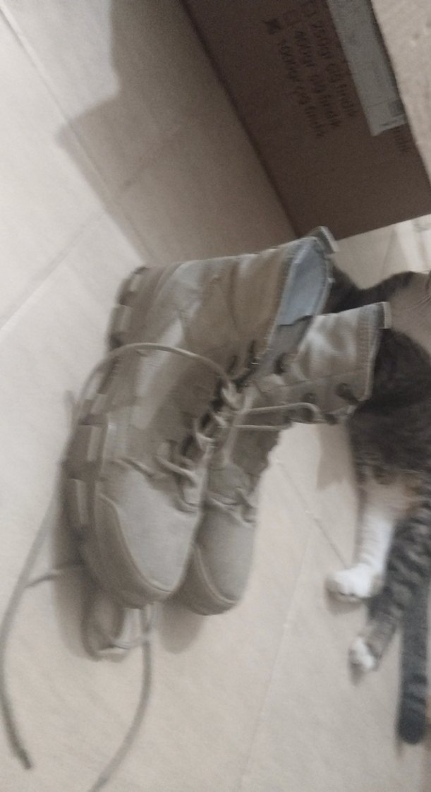 Bej Bağcıklı Kadın Dolgu Topuk Spor Ayakkabı - Görsel 3