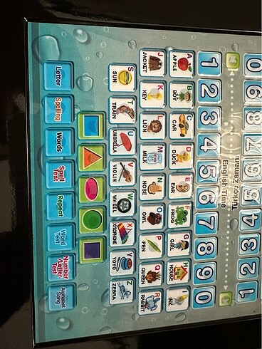Beden Bilgi-Pad Eğitici Laptop