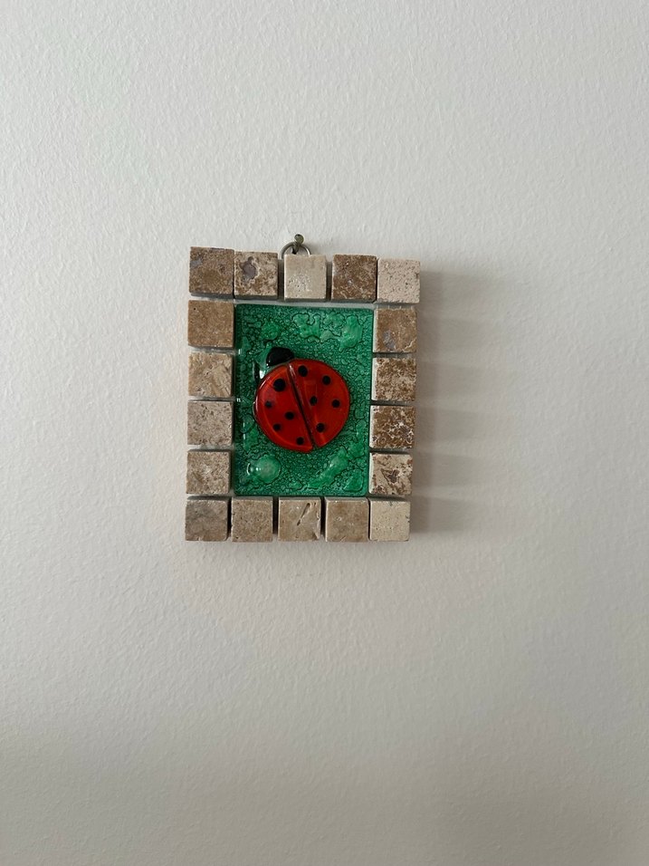 Kırmızı Uğur Böceği Desenli Cam Tablo - Görsel 4