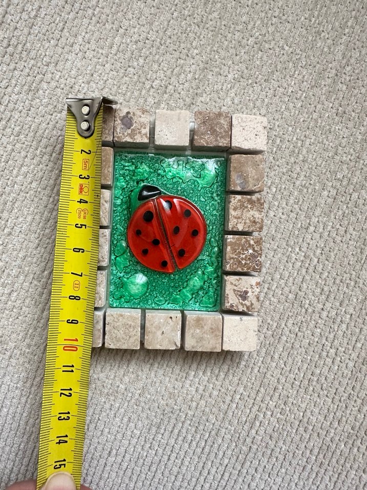 Kırmızı Uğur Böceği Desenli Cam Tablo - Görsel 5