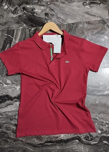 Lacoste Polo Yaka Tişört (M) 