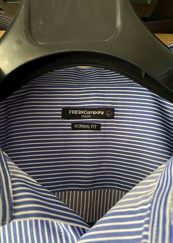 FRESH COMPANY Erkek Düğmeli Mavi Çizgili Gömlek - Görsel 2