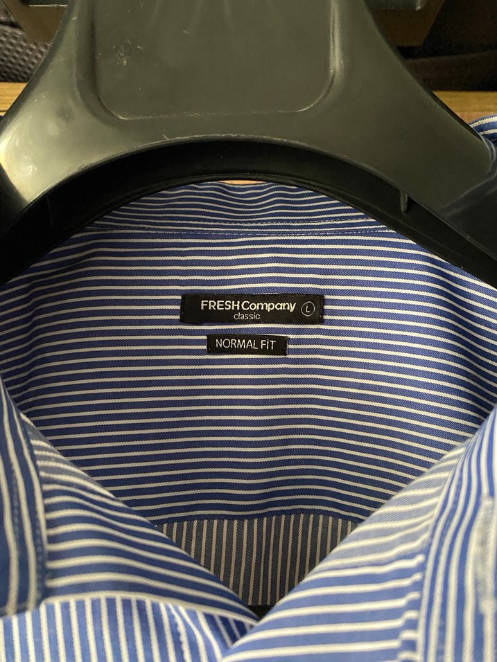 FRESH COMPANY Erkek Düğmeli Mavi Çizgili Gömlek - Görsel 2
