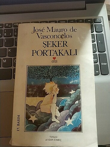  Şeker portakalı