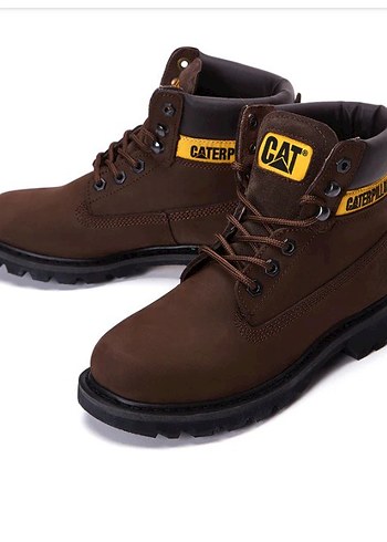 Cat 44