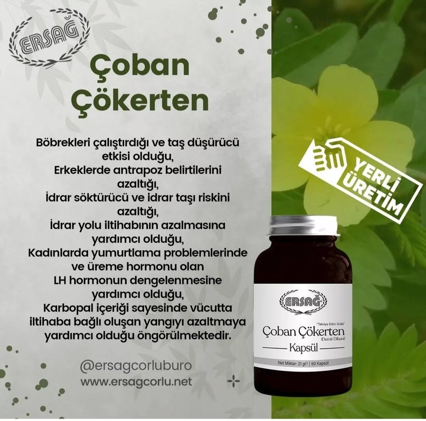 Ersağ Çaban Çökerten Kapsül - Görsel 5