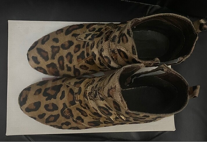 39 Beden Leopar bot