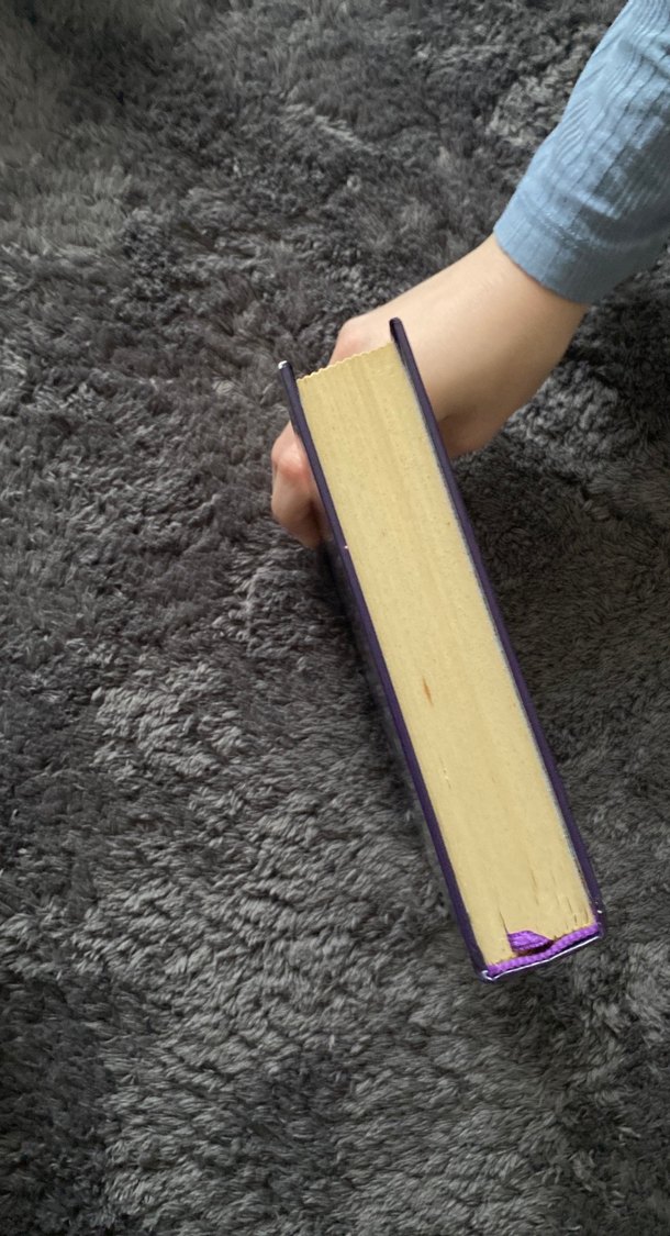 Son Yıldız Sönene Kadar Romanı - Görsel 4