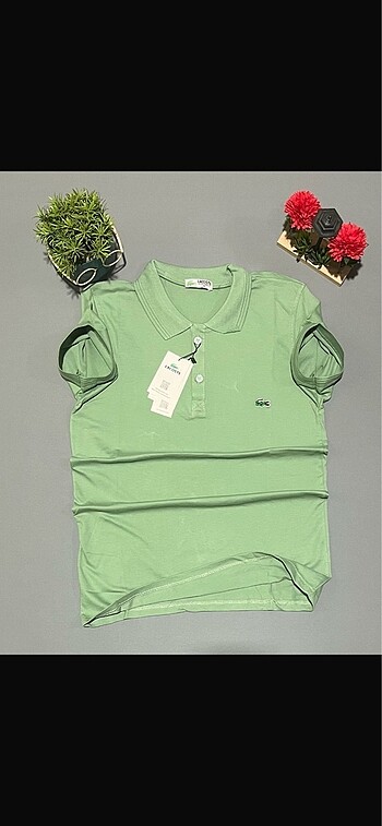 Lacoste marka A kalite Tşört