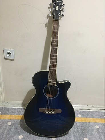 Ibanez E. Akustik Gitar