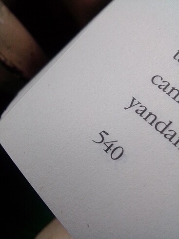 Çalı kuşu