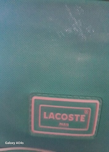  Beden Lacoste