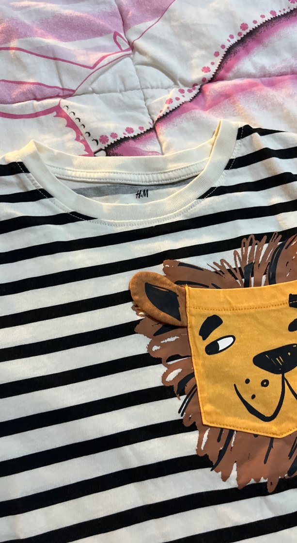 Erkek Çocuk Siyah Beyaz Çizgili Aslan Baskılı Tişört - Görsel 2