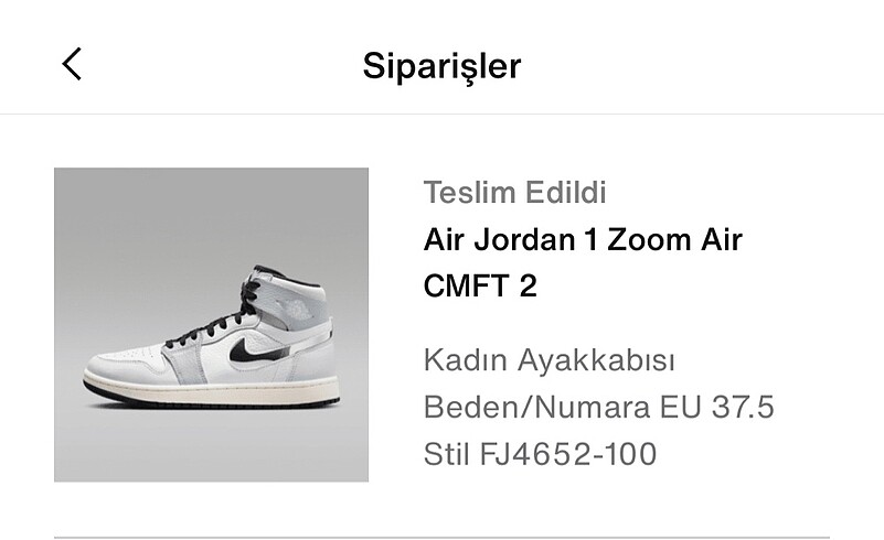 Nike air jordan