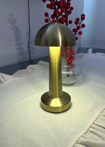 Mantar lamba - Görsel 2