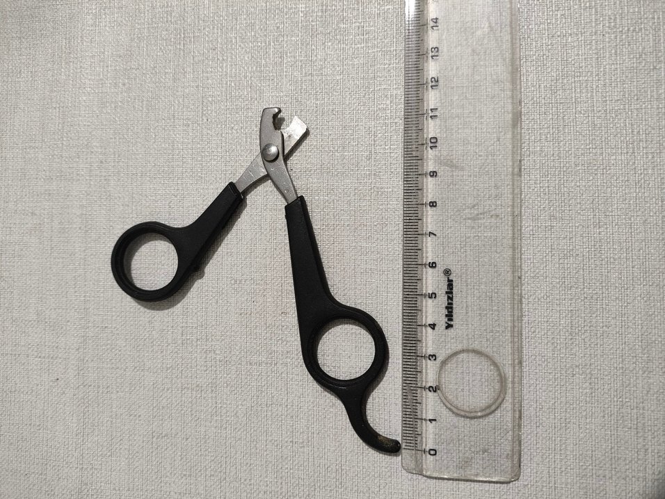 Gri Kedi Tırnak Makası - Görsel 2