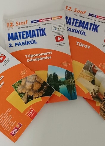 12.sinif matematik cap 