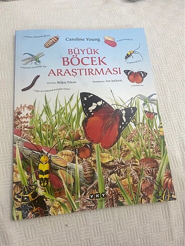 büyük böcek araştırması