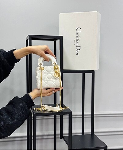 Christian dior lady mini