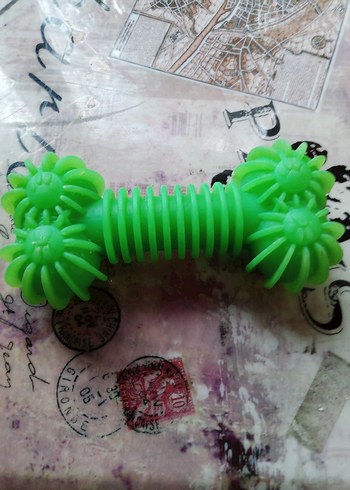 Renkli Köpek Oyuncağı Kemik