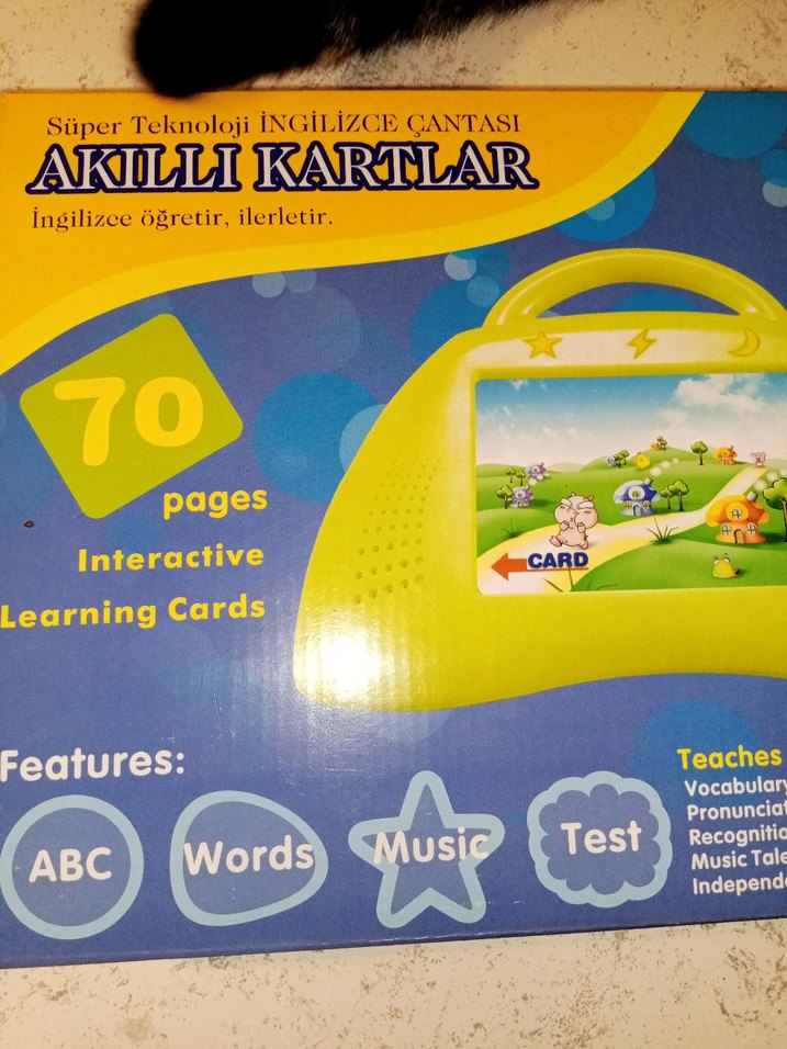 Yeşil Pastel Renkli akıllı kartlar, ingilizce öğretir,ilerletir - Görsel 2