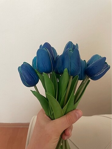 Diğer Islak lale 12 li