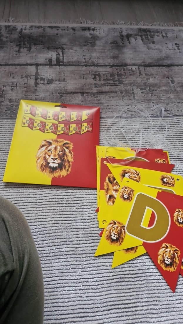 Renkli Aslan Temalı Parti Afişi - Görsel 2