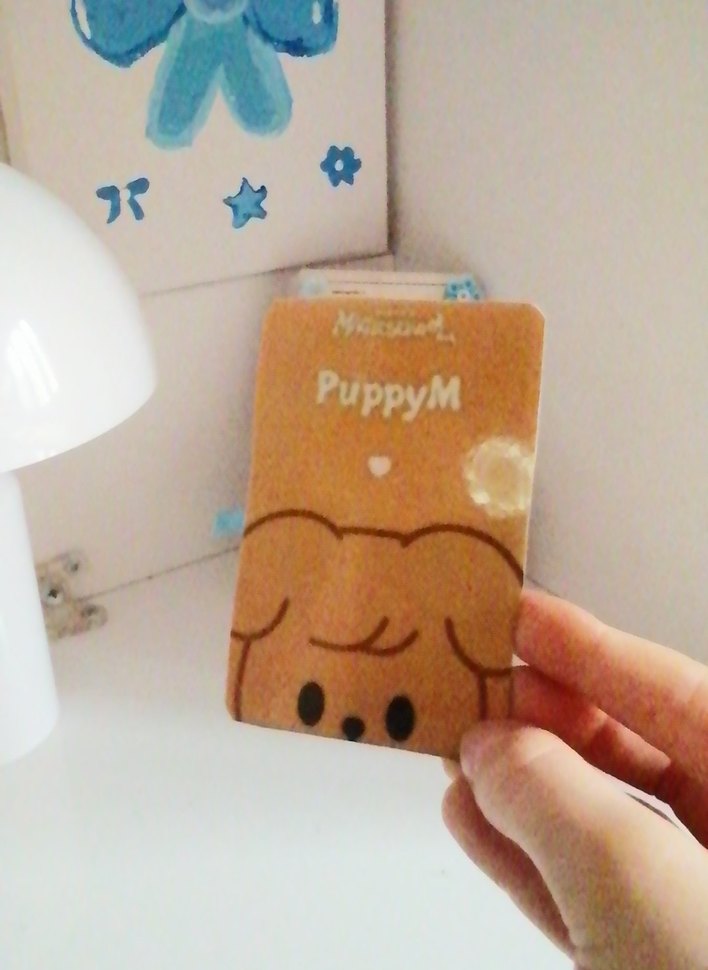 Seungmin fanmade photocard - Görsel 2