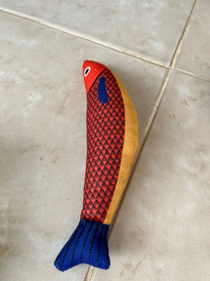 kedi oyuncağı kendiniz severek oynayacak. - Görsel 3