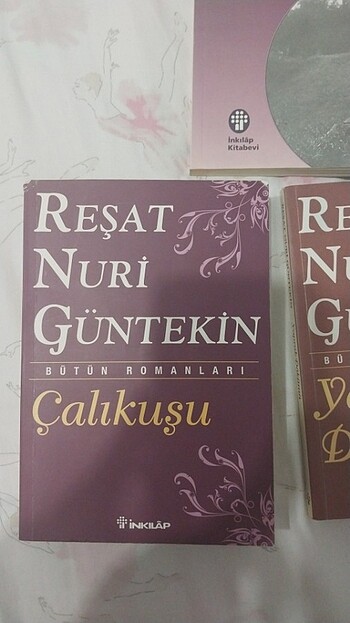  Resat nuri kitap seti