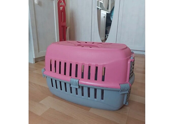 Kedi taşıma